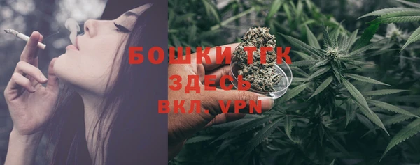 дмт Арсеньев