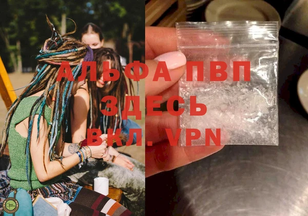 дживик Балахна