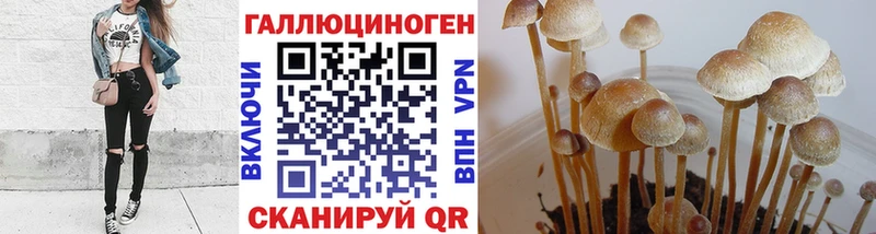 Псилоцибиновые грибы ЛСД  купить наркоту  Красный Кут 